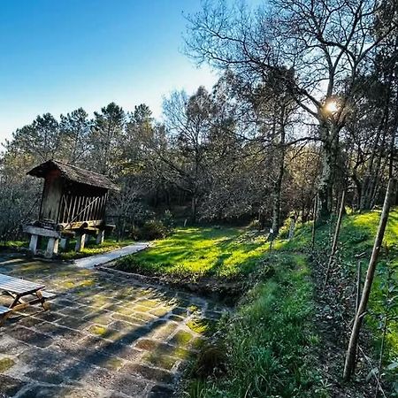 Eira Das Carvalhas Penafiel Exterior photo