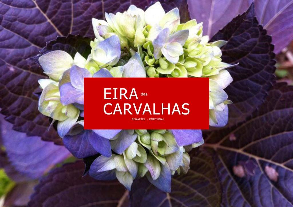 Eira Das Carvalhas Penafiel Room photo