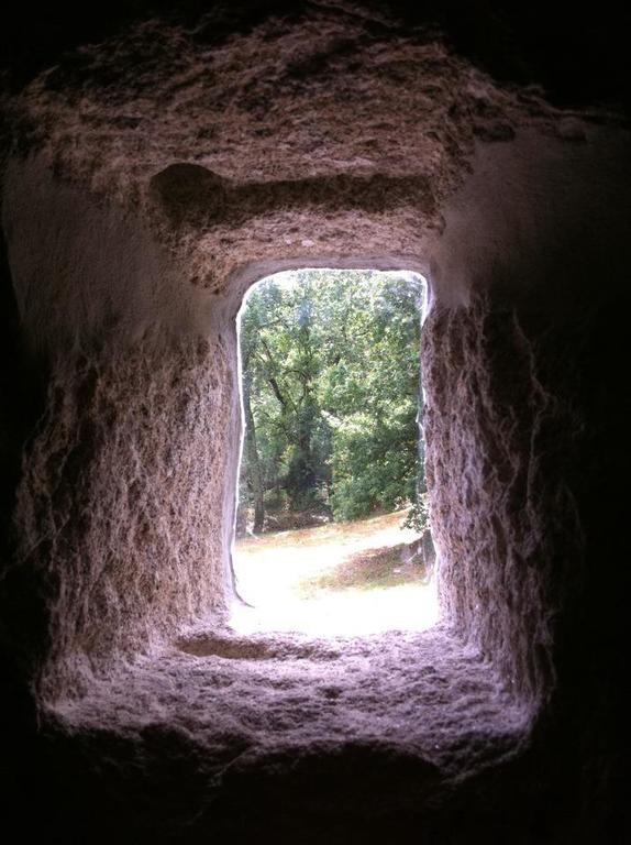 Eira Das Carvalhas Penafiel Room photo